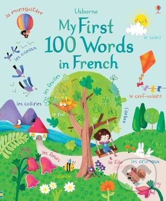My First 100 Words in French - Felicity Brooks, Sophia Touliatou (ilustrátor)