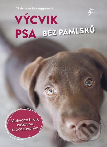 Výcvik psa bez pamlsků