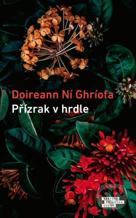 Přízrak v hrdle - Doireann Ní Ghríofa