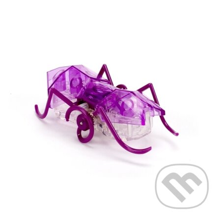 HEXBUG Micro Ant - fialový - 