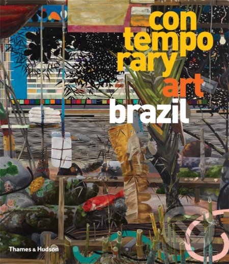 Contemporary Art Brazil