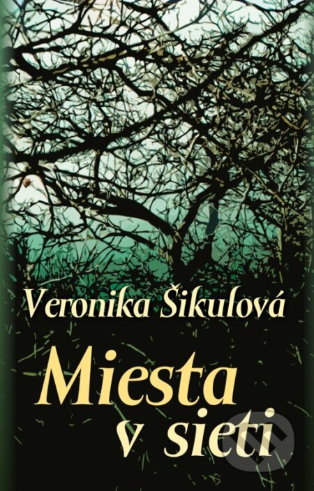 Miesta v sieti