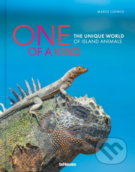 One of a Kind