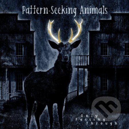 Pattern-Seeking Animals: Only Passing Through (HQ) LP - Pattern-Seeking Animals