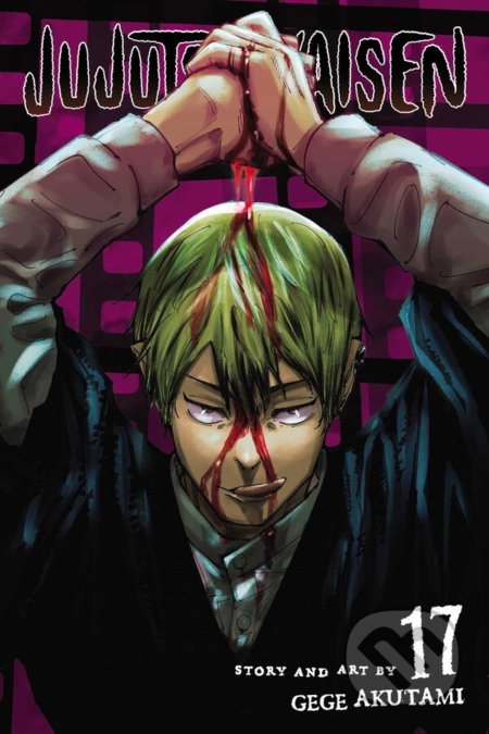 Jujutsu Kaisen 17