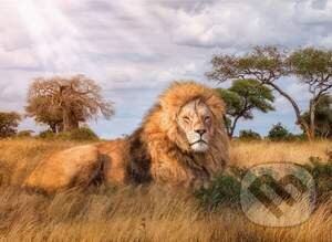 The King