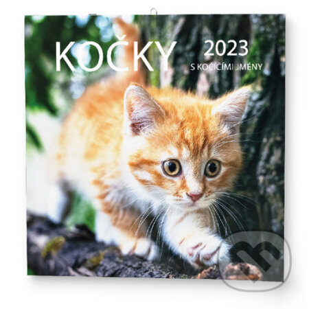 Kočky 2023 - nástěnný kalendář - Baloušek
