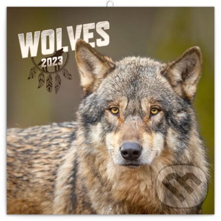 Poznámkový nástěnný kalendář Wolves 2023 - 