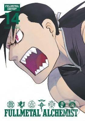 Fullmetal Alchemist 14