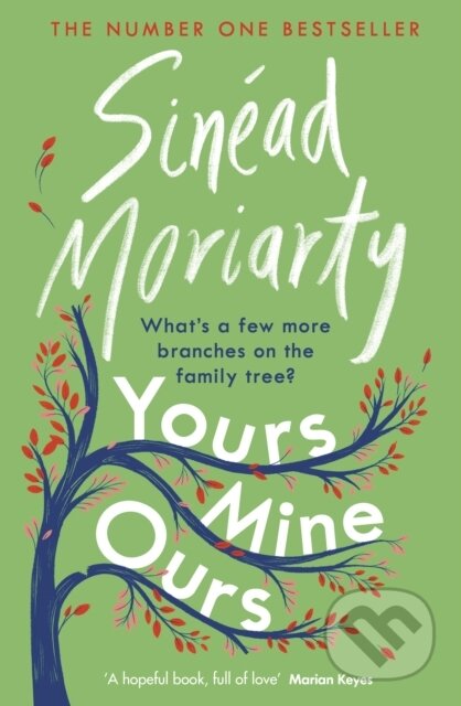 Yours, Mine, Ours - Sinéad Moriarty