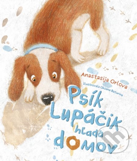 Psík Lupáčik hľadá domov