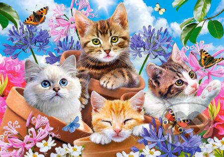 Kittens with Flowers - 