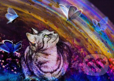 Cat and Butterflies