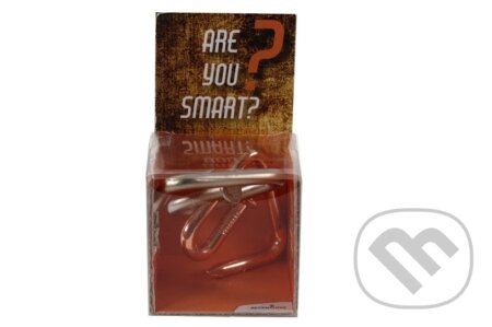 RECENTTOYS Are you Smart