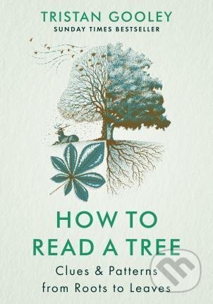 How to Read a Tree: Clues & Patterns from Roots to Leaves