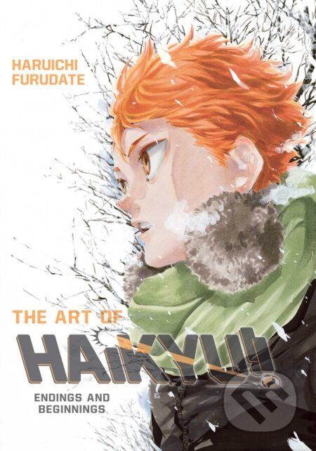 The Art of Haikyu!!
