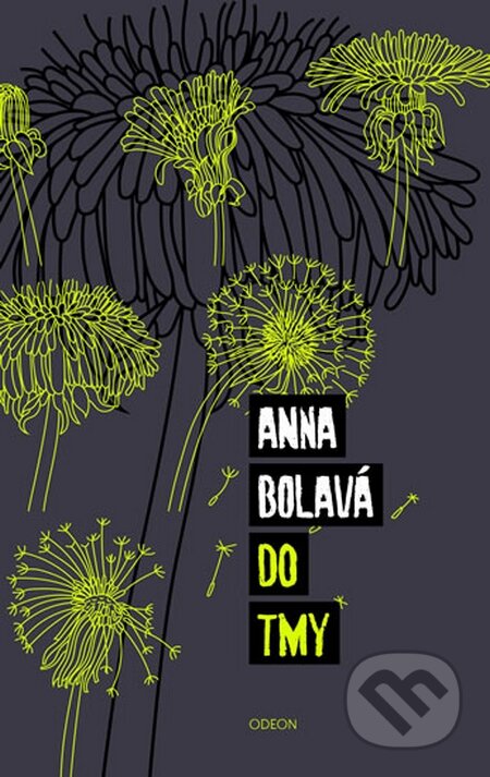 Do tmy - Anna Bolavá