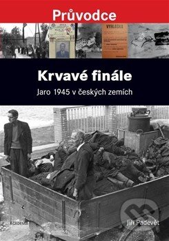 Obrázok