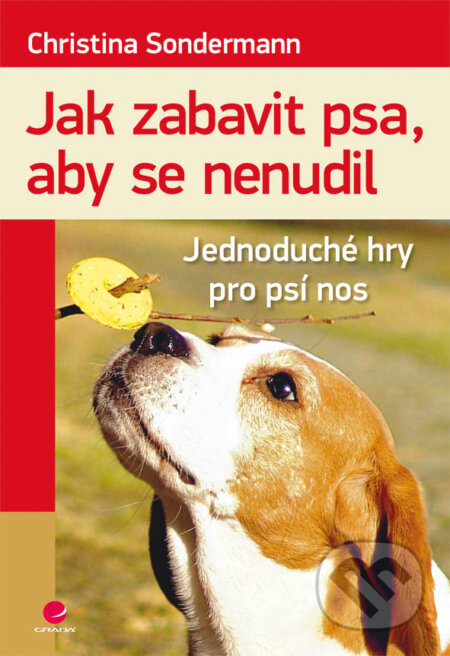 Jak zabavit psa, aby se nenudil