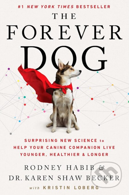 The Forever Dog