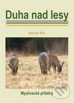 Duha nad lesy