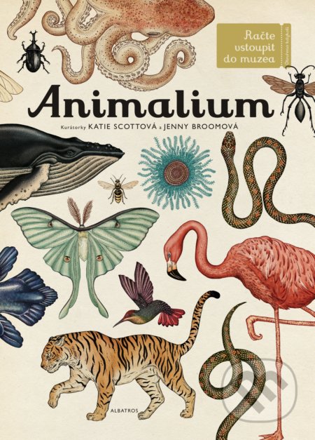 Animalium - Jenny Broom (ilustrátor), Katie Scott (ilustrátor)