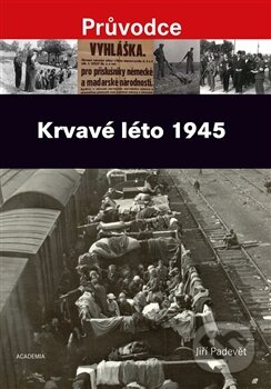 Obrázok