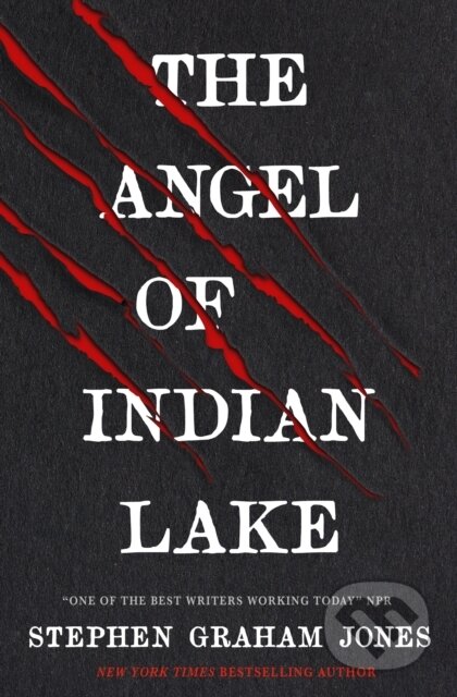 The Angel Of Indian Lake