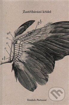 Zastřihávání křídel - Vendula Pačesová