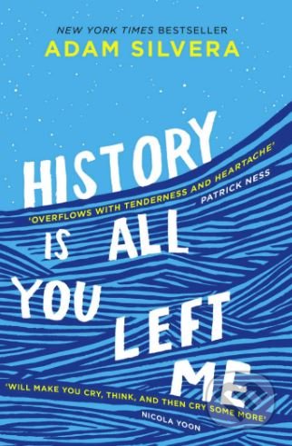 history is all you left me book