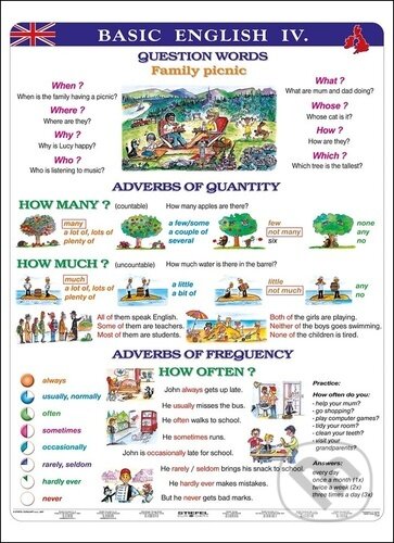 Basic English IV.