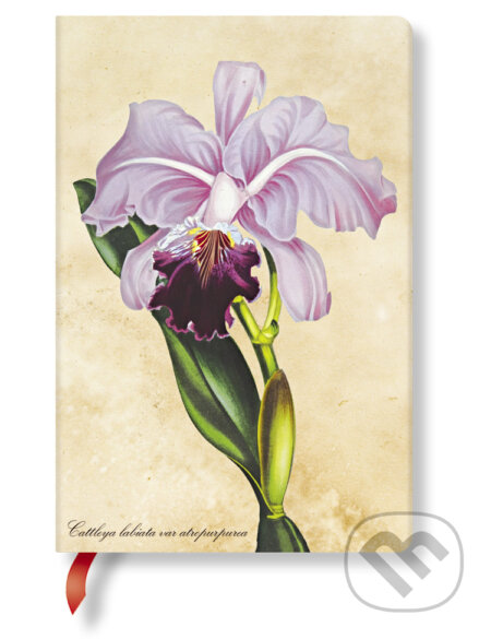 Paperblanks - zápisník Brazilian Orchid (mini, linajkový)