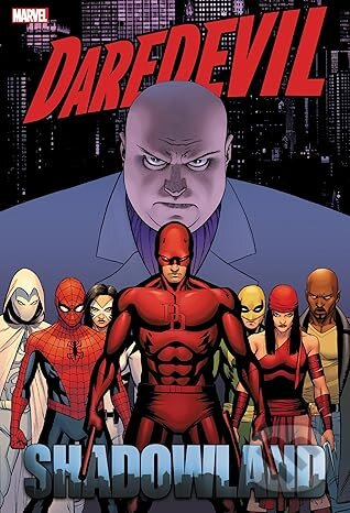 Daredevil: Shadowland Omnibus