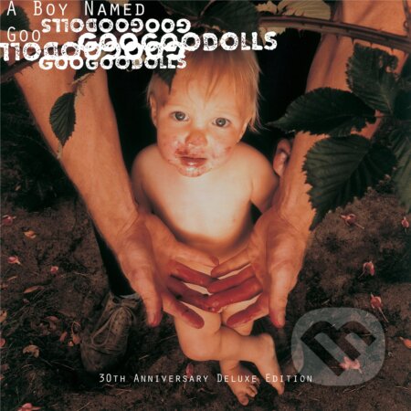 Goo Goo Dolls:  A Boy Named Goo LP