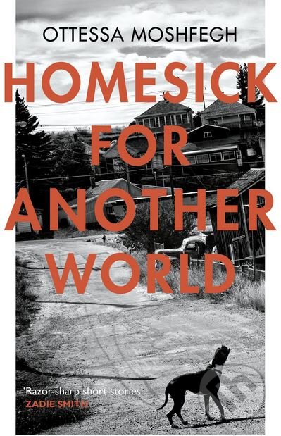 homesick for another world stories