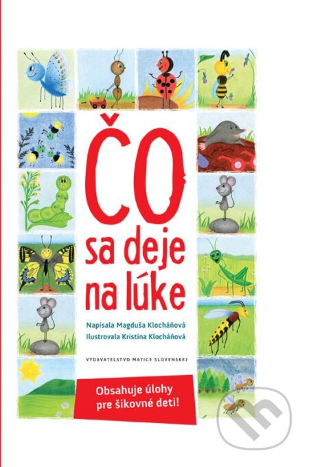 Čo sa deje na lúke