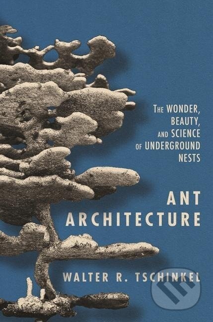 Ant Architecture