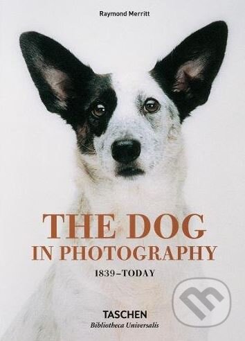 The Dog in Photography