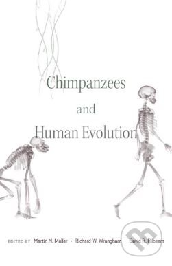 Chimpanzees and Human Evolution - Martin N. Muller
