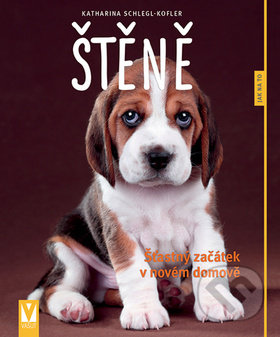 Štěně