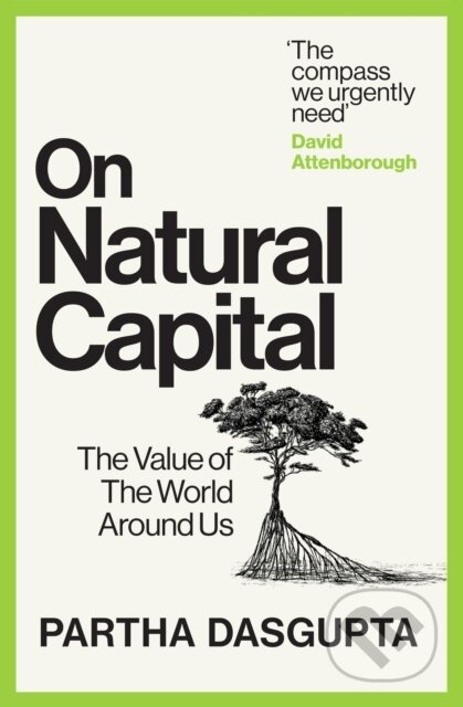 On Natural Capital