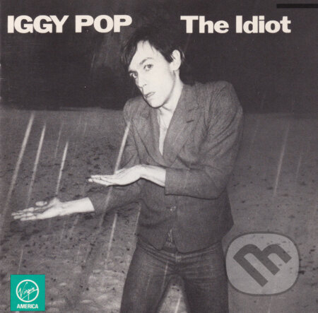 Iggy Pop: The Idiot - Iggy Pop