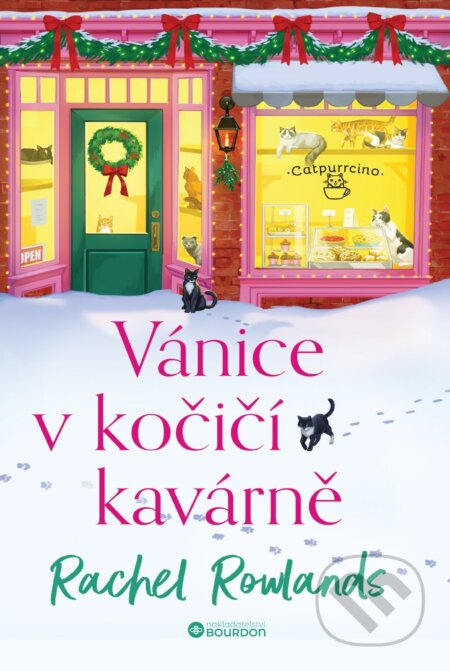 Vánice v kočičí kavárně