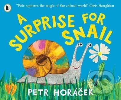 Surprise for Snail