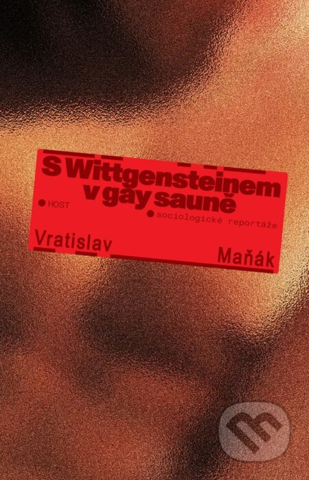 S Wittgensteinem v gay sauně
