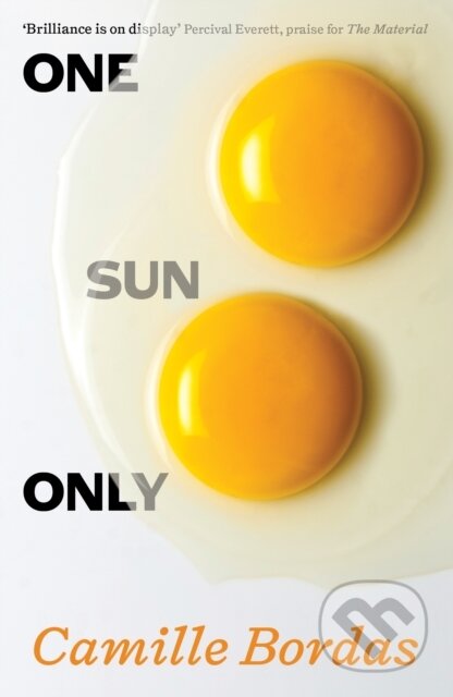 One Sun Only