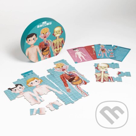 Puzzle Ludske telo