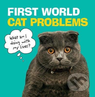 First World Cat Problems