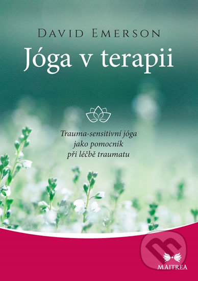 Jóga v terapii