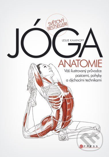 JÓGA - anatomie
